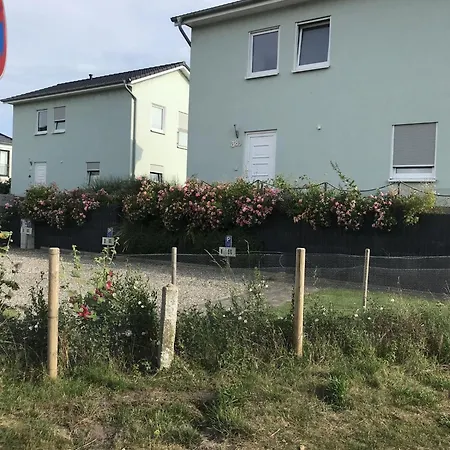 Lägenhet Strandhaus-Appartement-Seeschwalbe-Eg *